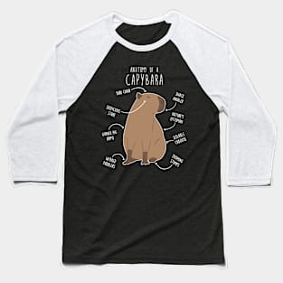 Capybara Anatomy Baseball T-Shirt